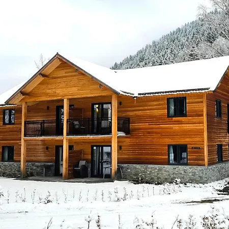 Apartment Alpensee 24c - Loft By The