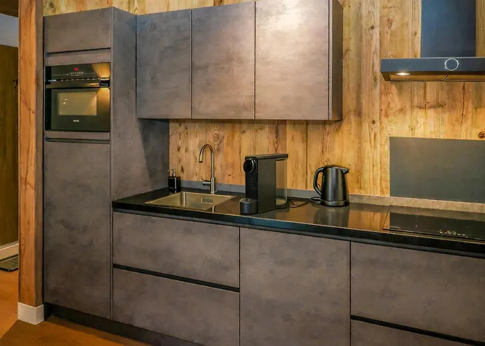 Stylish Loft With Mountain View Near The Appartement